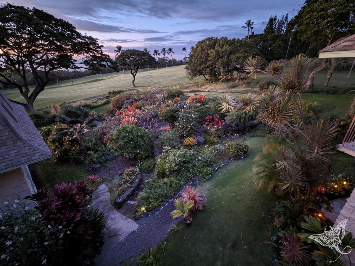 Hale Hahalua - Serenity And Ocean Views In Kailua-Kona At Keauhou Akahi Above Keauhou Bay 凯路亚-科纳 外观 照片